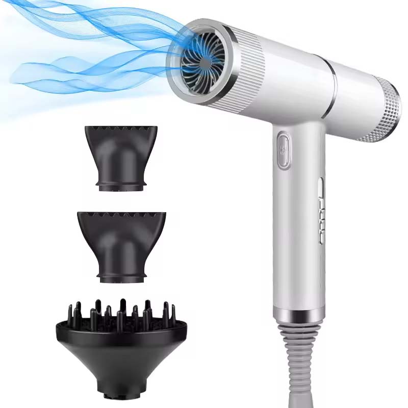 전문용 이온 헤어 드라이어, 저소음 고성능 온풍 및 냉 - Hair Blow Dryer Low Noise Powerful 리뷰 및 가격