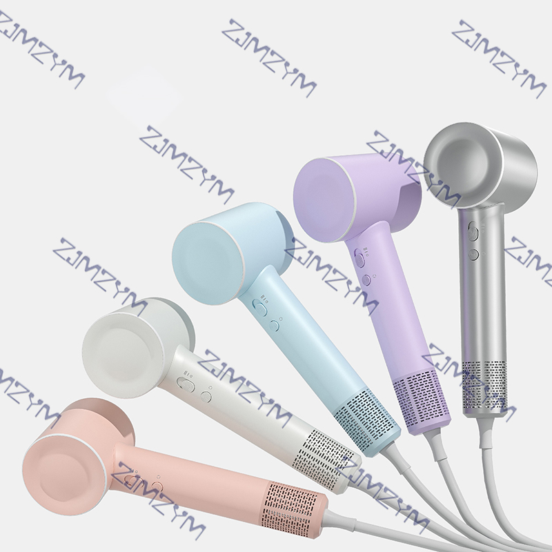 전문가용 음이온 블로우 고속 헤어 드라이어, 홈 살롱, - Negative Ionic Blow Dryer 1600W 리뷰 및 가격