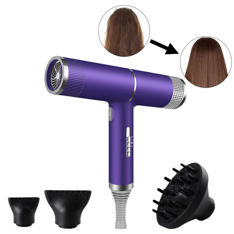 전문용 이온 헤어 드라이어, 저소음 고성능 온풍 및 냉 - Hair Blow Dryer Low Noise Powerful 리뷰 및 가격