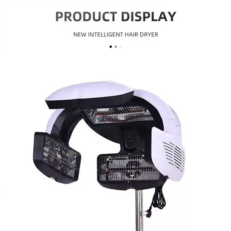 전문 미용실용 염색 가공 장비, 미용실용 헤어 에센스  - Hair Salon Hood Dryer Professional 리뷰 및 가격