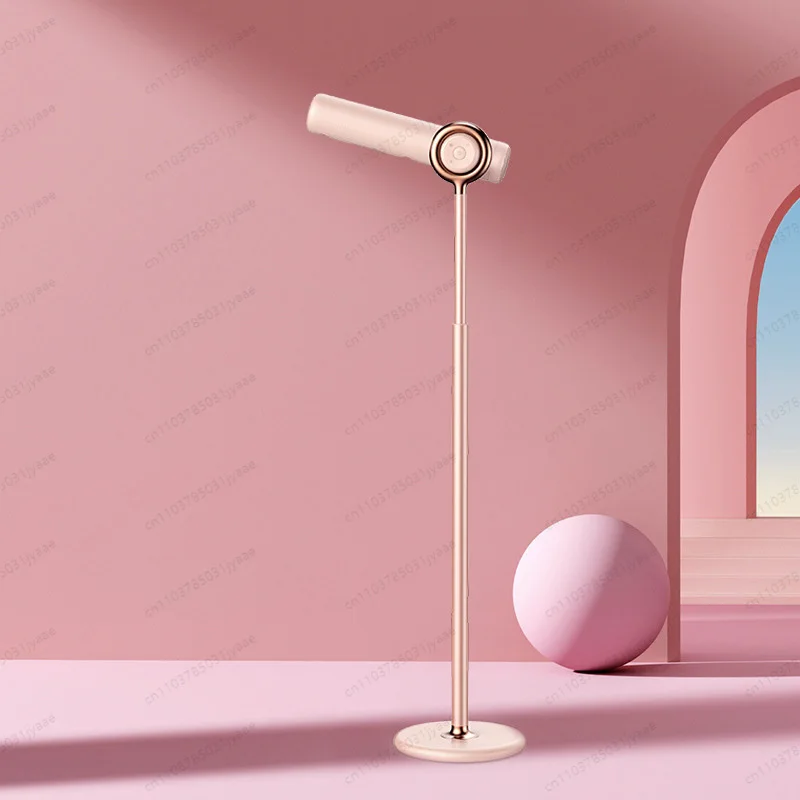스탠드형 헤어 드라이어 핸즈프리 헤어 케어 - Hair Dryer Stand Hands Free Floor 리뷰 및 가격