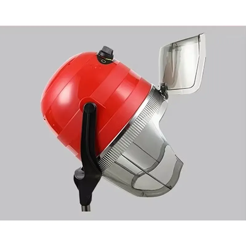 전문용 수직형 헬멧형 헤어 드라이어, 미용실용, 독립형 - Hair Salon Hood Dryer Professional 리뷰 및 가격