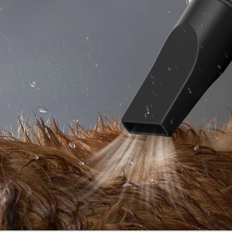 반려동물 고출력 드라이어 저소음 조절 가능한 풍속 내구 - Hair Blow Dryer Low Noise Powerful 리뷰 및 가격