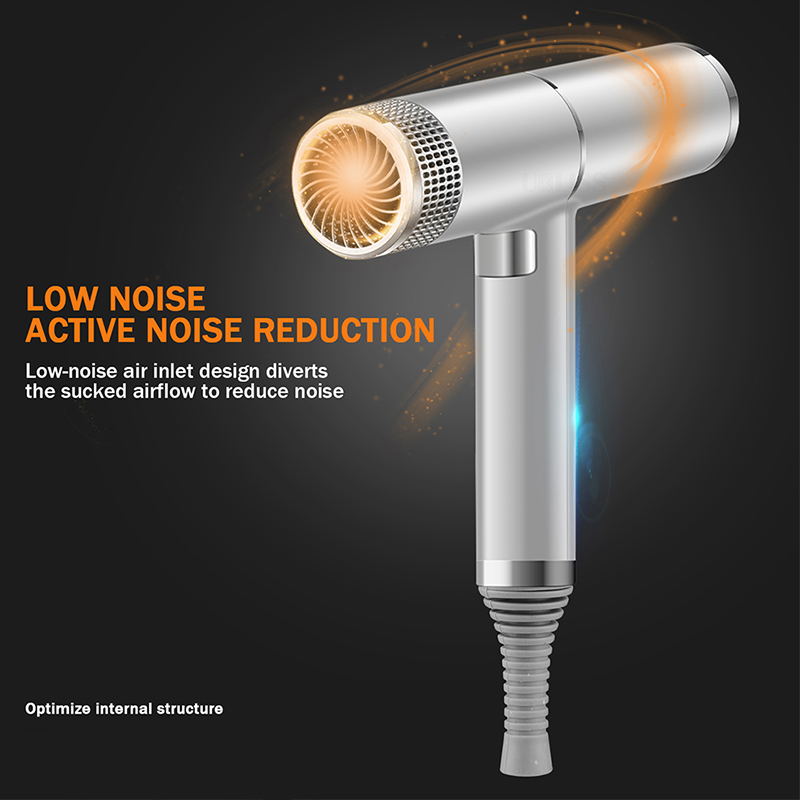 이온 헤어 드라이어, 전문가용, 저소음, 강력한 바람, - Hair Blow Dryer Low Noise Powerful 리뷰 및 가격